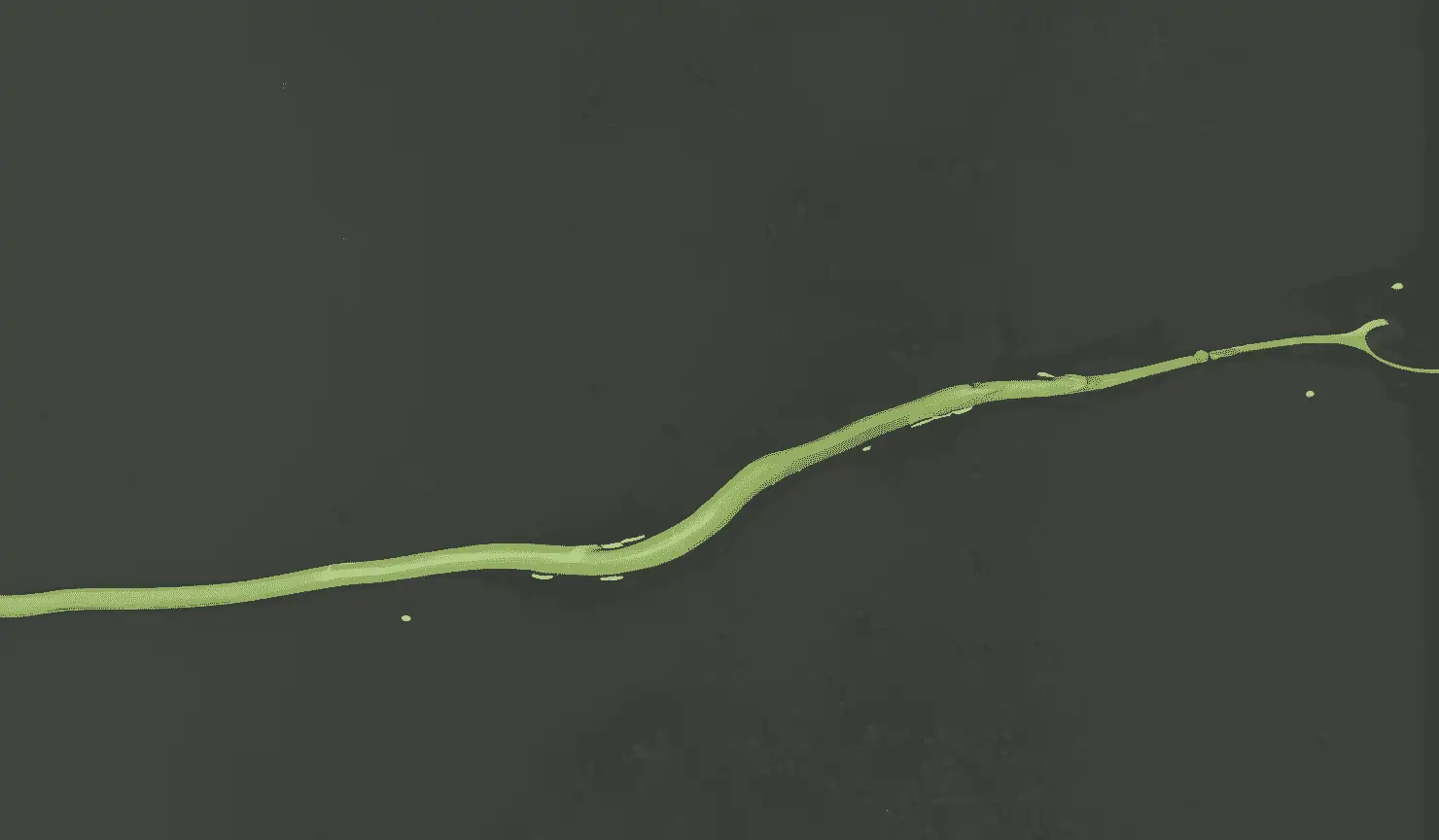 Правила формирования и ведения единого реестра российских программ для электронных вычислительных машин и баз данных