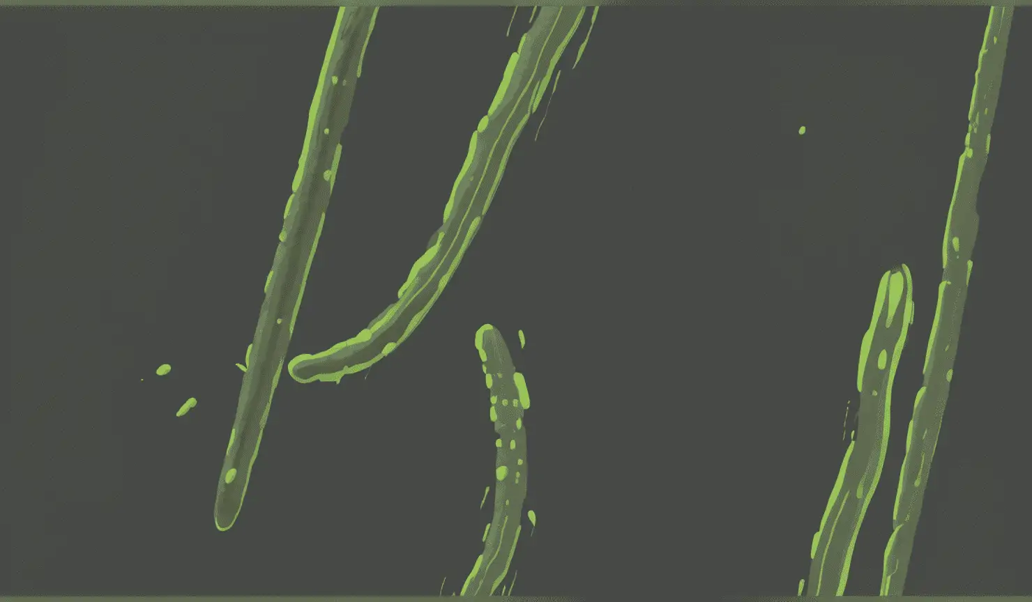Договор о предоставлении исключительной (эксклюзивной) лицензии на использование товарного знака