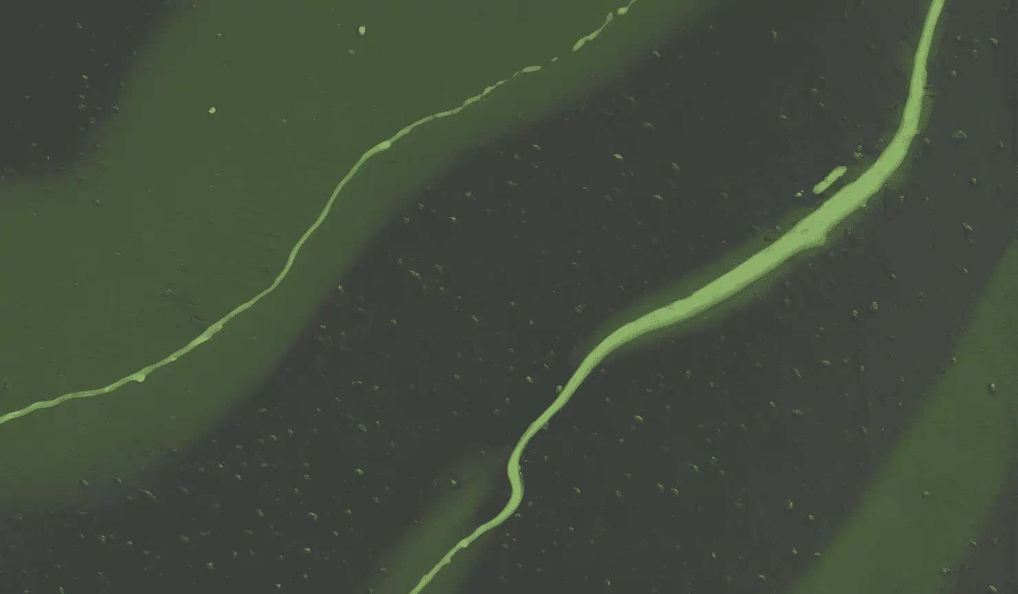 Как защитить этикетку с помощью товарного знака