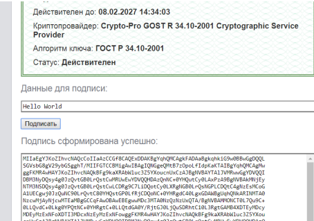 <i>Успешная проверка на тестовой странице выглядит так.</i>