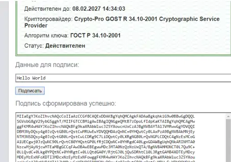 <i>Успешная проверка на тестовой странице выглядит так.</i>