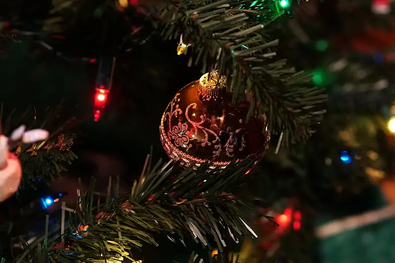 Защитить праздник: какие патенты на новогодние атрибуты получили российские предприниматели?