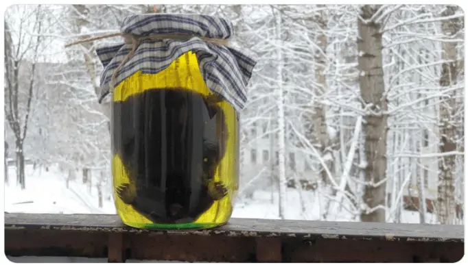 Как правильно использовать мем: в России регистрируют бренд «Кротовуха»