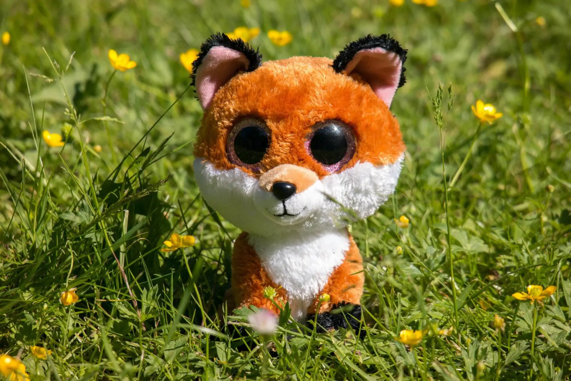 Производитель игрушек из США не смог оспорить отказ в регистрации товарного знака в России